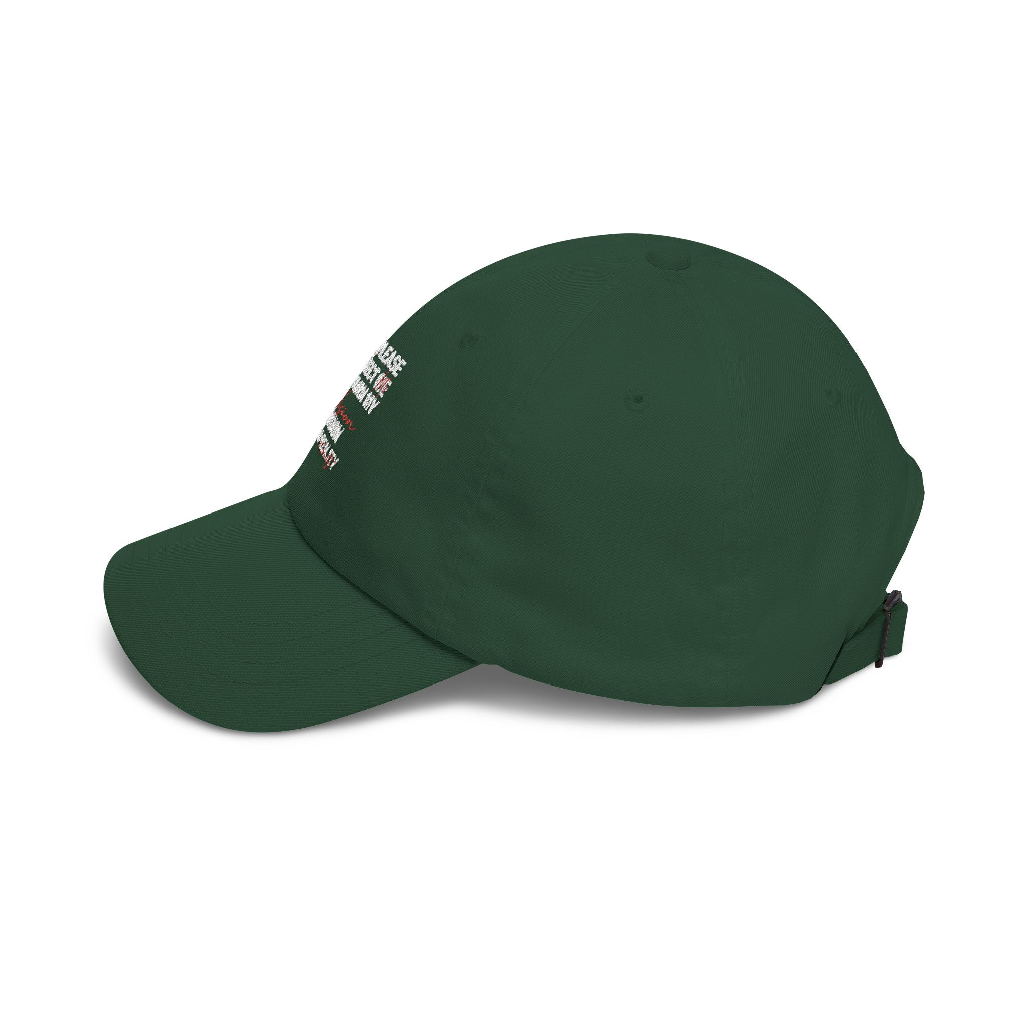 V2R Dad Cap — "Please Protect Me & Return My Vision" Embroidered Baseball Hat