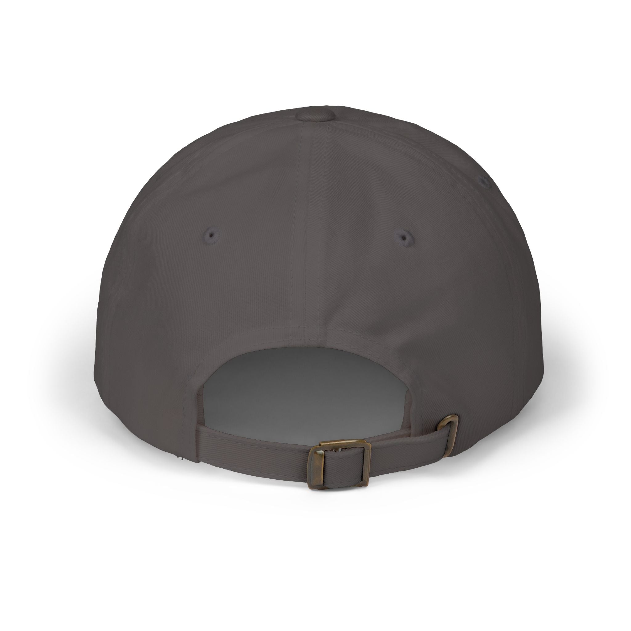 V2R Dad Cap — "Please Protect Me & Return My Vision" Embroidered Baseball Hat