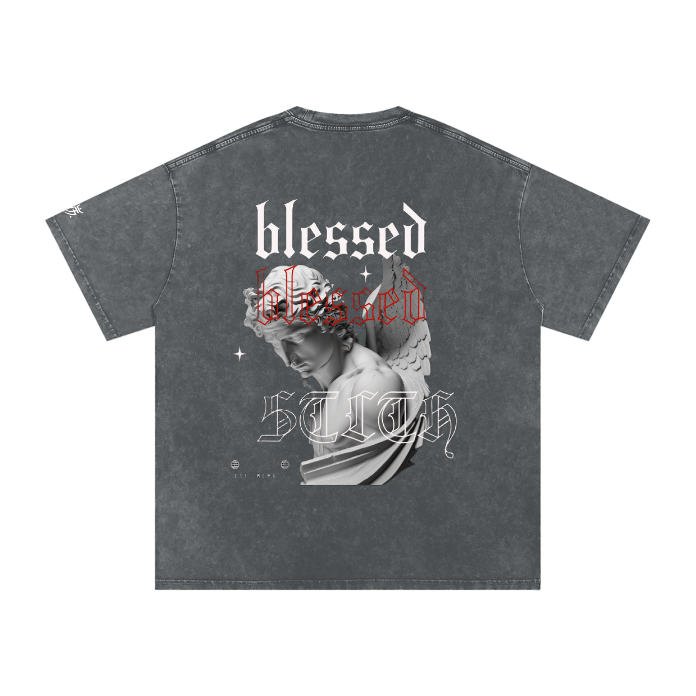 Snow Washed Oversized Cotton T-Shirt