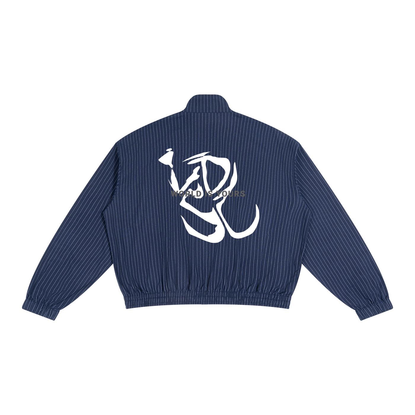 Unisex Striped Full-Zip Track Jacket